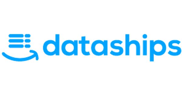 dataships logo